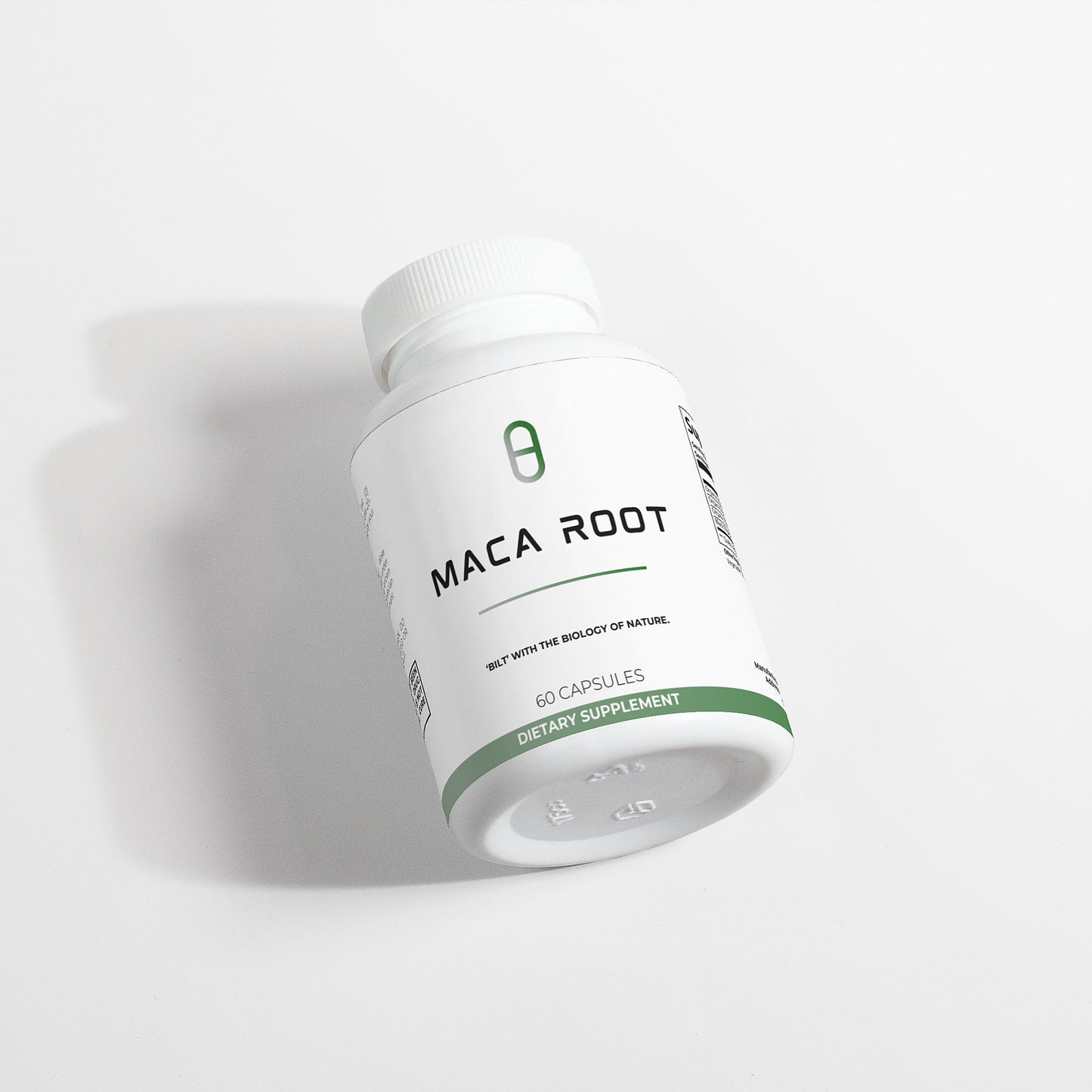 MACA ROOT